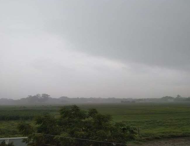 Monsoon Update: बिहार, यूपी समेत इन राज्यों में भारी बारिश, जानें इस हफ्ते के मौसम का हाल