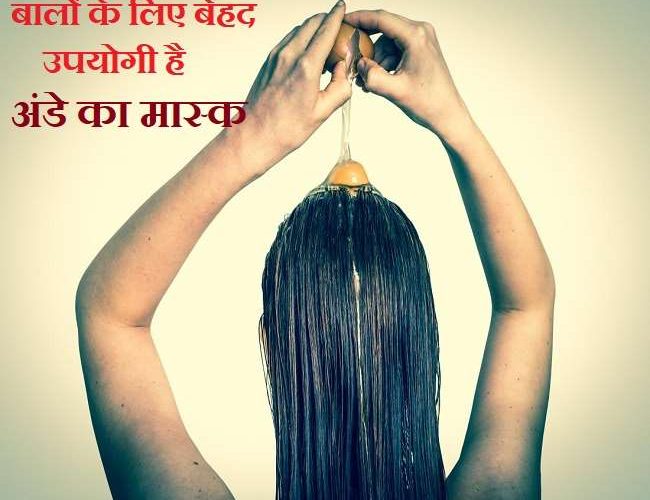 Egg Masks For Hair: बालों की सभी समस्याओं का उपचार करेगा अंडे का मास्क, जानिए कैसे!