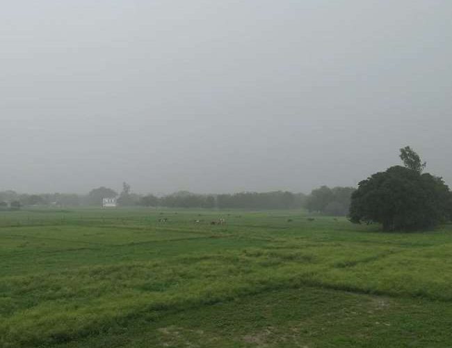 Monsoon Update: दिल्ली, यूपी सहित इन राज्यों में बढ़ेगी गर्मी, बंगाल और बिहार में भारी बारिश के आसार, देखें देशभर के मौसम का हाल