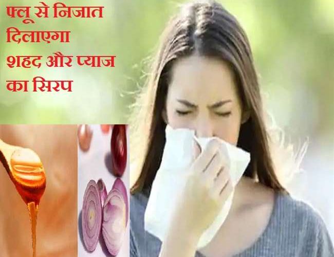 Natural Treatment of Cold & Flu: वायरस इंफेक्शन परेशान कर रहा है तो प्याज और शहद के सिरप से करें उपचार, जानिए फायदे