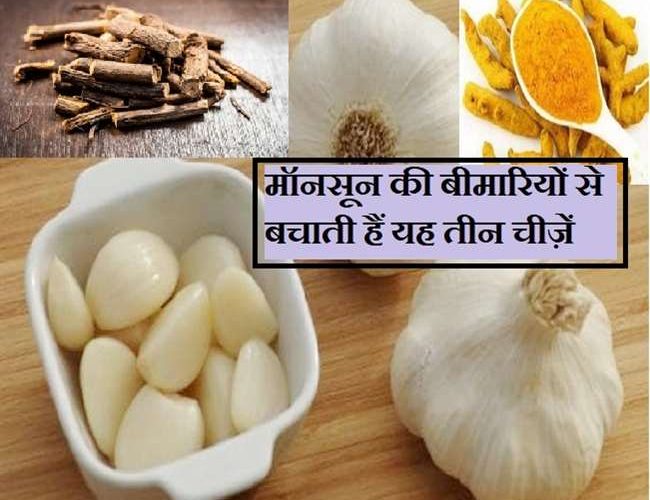 Home Remedies for Monsoon Diseases: मॉनसून में होने वाली बीमारियों से बचाती हैं ये 3 चीज़ें