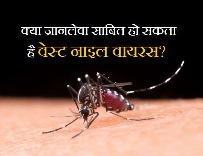 West Nile Virus: क्या है वेस्ट नाइल वायरस, जिसे रूस ने बताया है ख़तरा?