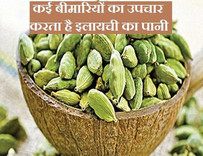 Elaichi Water Health Benefits: सेहत के लिए बेहद फायदेमंद है इलायची का पानी, खाली पेट पीने से होंगे 5 फायदे