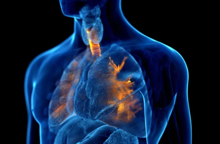 COPD: ये लक्षण दिखते ही समझ जाएं कि डैमेज हो गए हैं आपके फेफड़े, स्मोकिंग करने वाले जरूर हो जाएं सतर्क